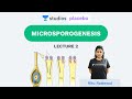 L2: Microsporogenesis | Sexual Reproduction Plants  (Pre-Medical: NEET/AIIMS) | Ritu Rattewal