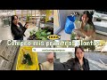 Adulta responsable compra plantas 🪴💗 | IKEA VLOG | MELANIEGUANIPA