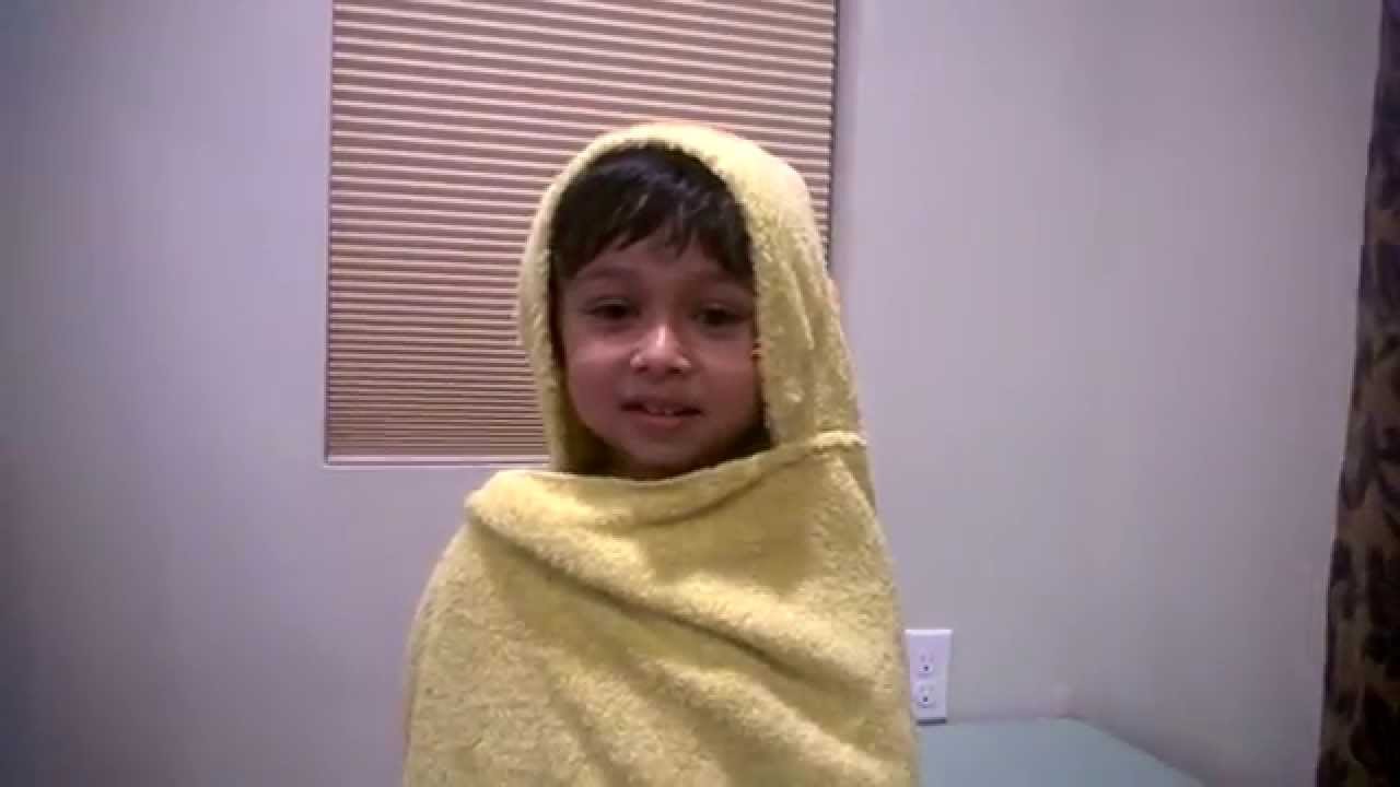 Butterfly life cycle song YouTube