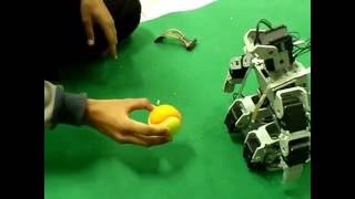 humanoid robot havimo 2 pan and tilt