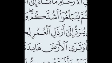 سورة الحج 5-7