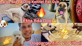 Large Breed Dog Kennel Par Gye🐶|| Dogoargentino Ko Kyu Aya Gussa😡