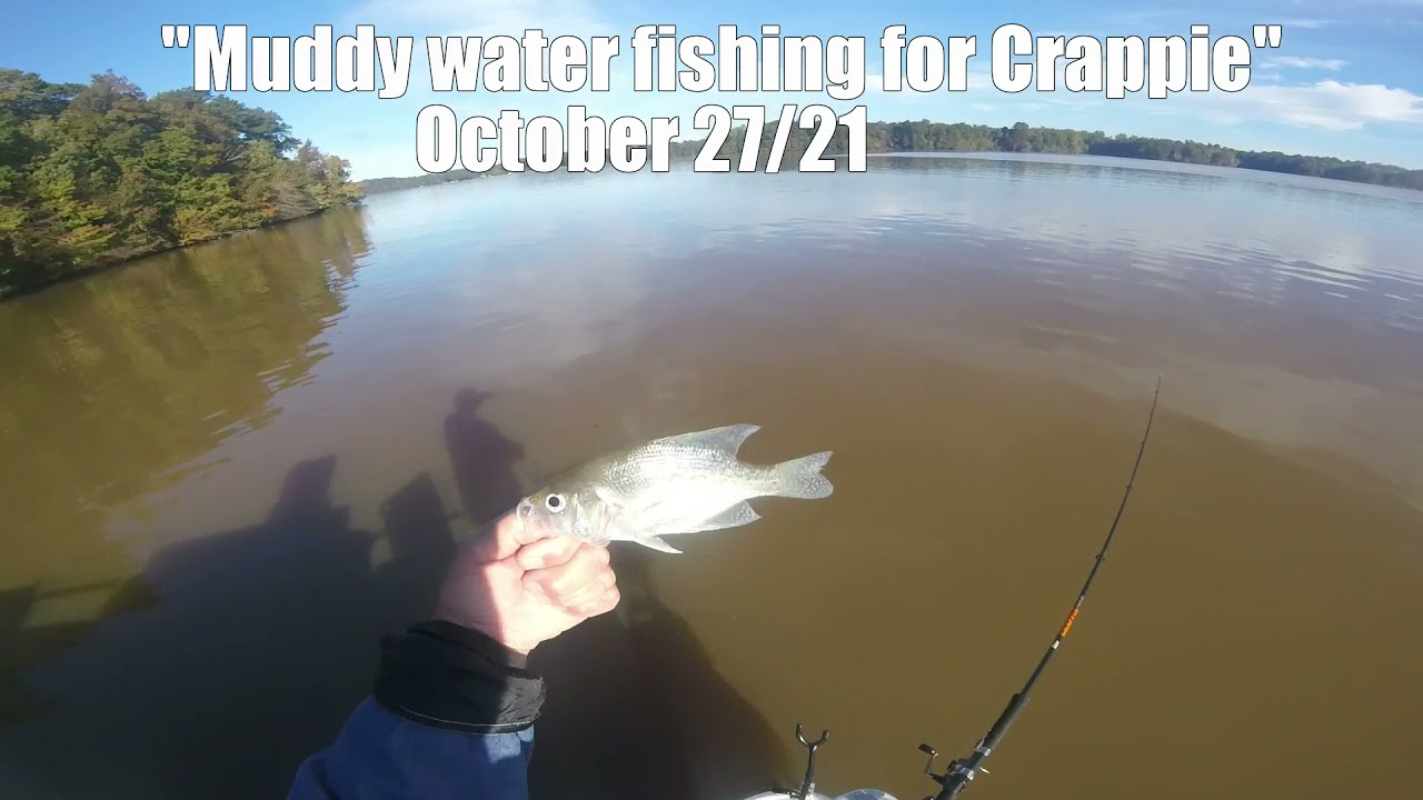 October 27/21 Crappie fishing Lake Oconee YouTube