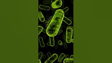 beauty of shaders - shader developed by vgs #shorts #shaders #fragment #glsl