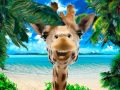 Cockney giraffe make me smile