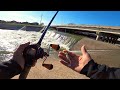 Pesca de Striped Bass Grandes | Debajo de Una Cascada