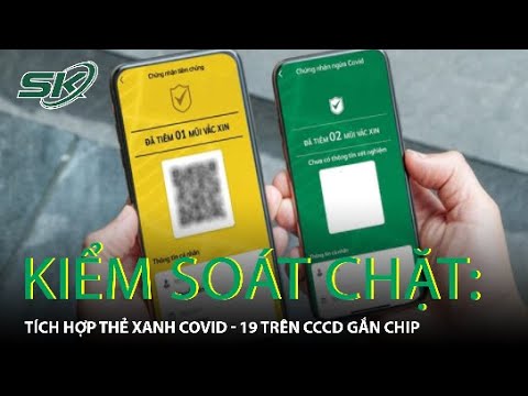 Video: Trật Tự Xã Hội Là Gì