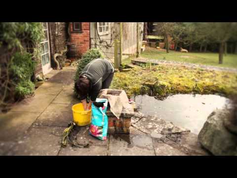 How to plant waterlilies - The English Garden magazine