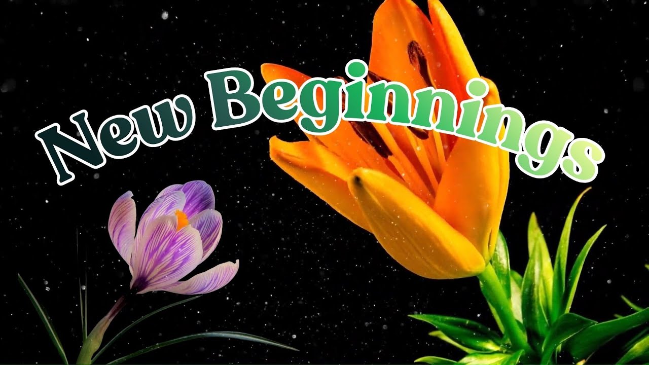 NEW YEAR✨NEW YOU! 741 Hz ✨Detoxify Your Body & Environment.