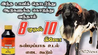 இந்த டானிக் கொடுத்து பாருங்க அப்பறம் உங்க ஆட்டுக்குட்டி எப்படி weight போடுதுனு பாருங்க