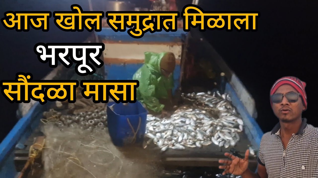 आज खोल समुद्रात मिळाला भरपूर सौंदळा मासा