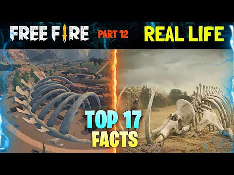 Top 17 Fact of Free Fire Battleground | Free Fire के कुछ ऐसी अनोखी बातें जो कोई नहीं जानता #12