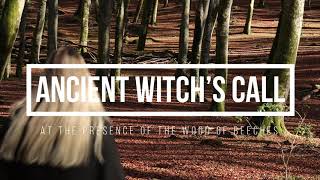 Ancient witch's call at the presence of the wood of beeches