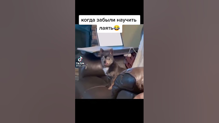 когда забыли научить лаять😂