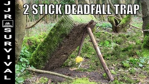 Primitive  2 Stick Deadfall Trap