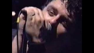 Green Day- Macy's Day Parade (Live)