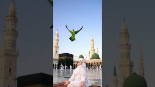 Cute Baby #islamicvideo #shortsfeed #shortvideo #youtubeshorts #goviral #viral #baby #cute #kids