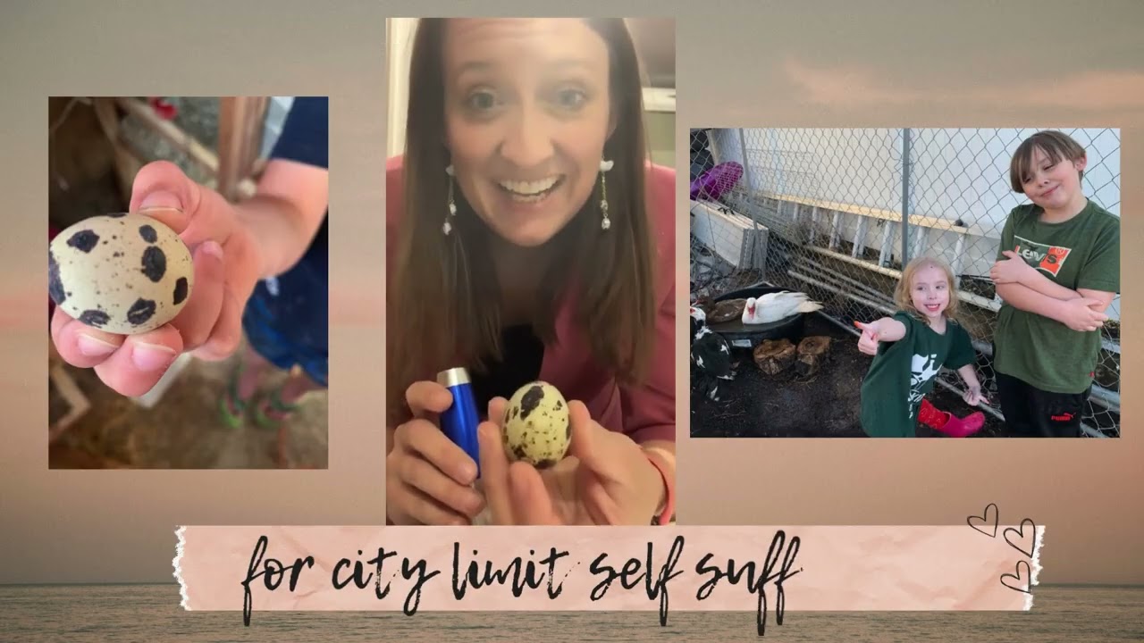 Feathered Knechtions Quail