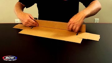 BCW 800 Count Storage Box - 2 Piece