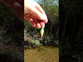 Мини голавль на воблер косадака ... #fishing #рыбалка #спінінг #salmos