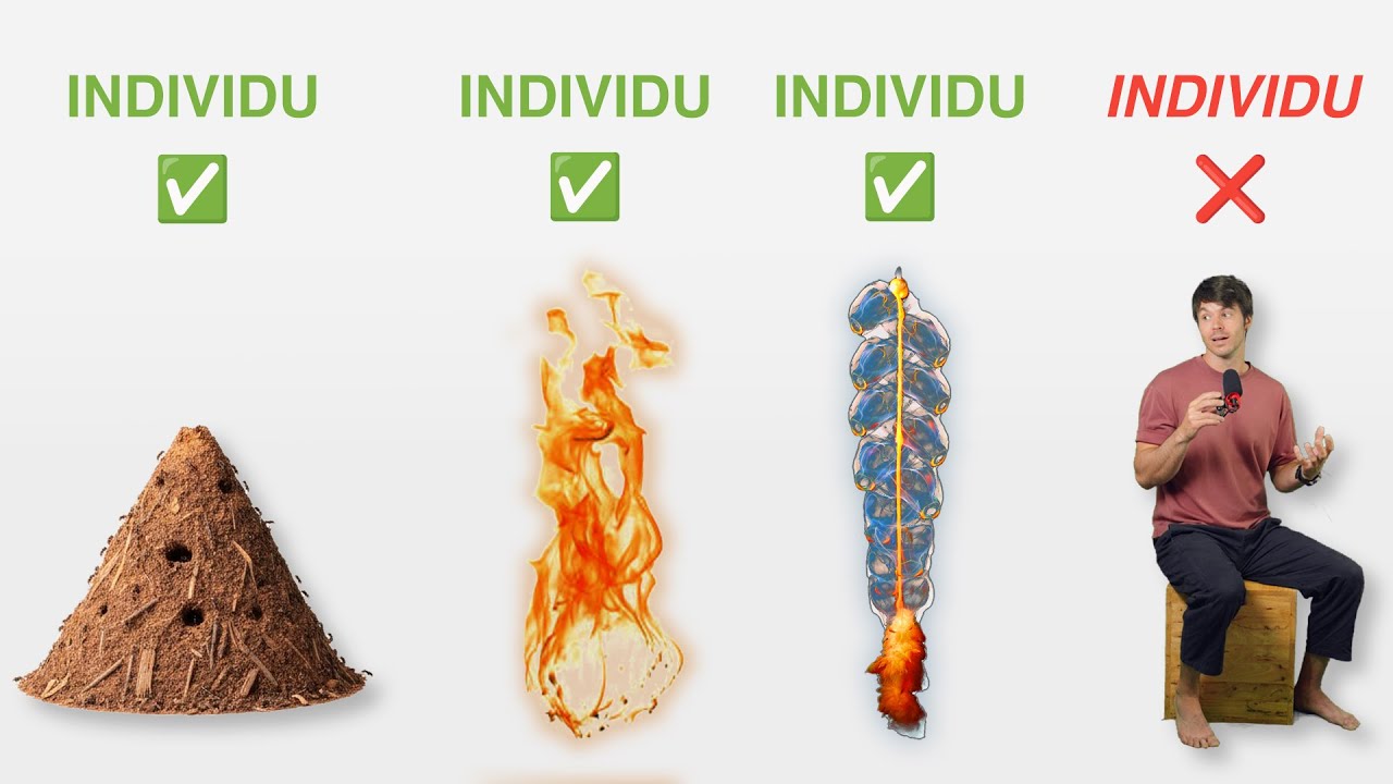 Une nouvelle théorie ƎꓕNⱯSꓤƎꓥNƎꓤ des individus