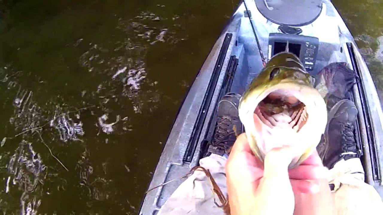 Smith lake bass fishing - YouTube