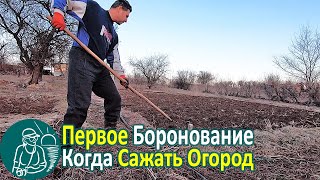 Боронование почвы 🌽 Когда сажать: рассаду, капусту, морковь, лук 🥦🥕🧅 Опыт выращивания Гордеевых