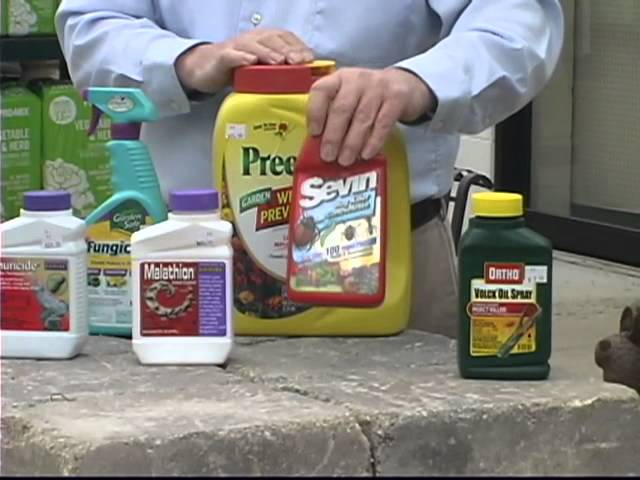 Understanding Pesticides