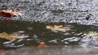 Rain sounds, Rainfall sounds - relaxing music, soothing sounds - 10 hours of rainfall sound