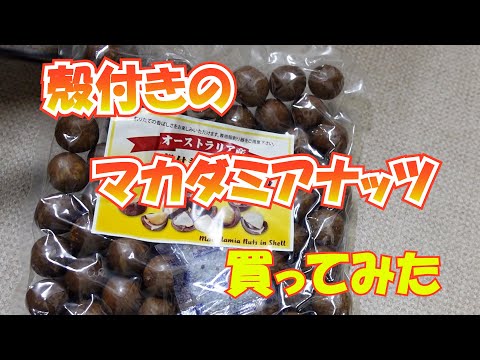 殻付きのマカダミアナッツを買ってみた#164 【火曜日】0319 - YouTube