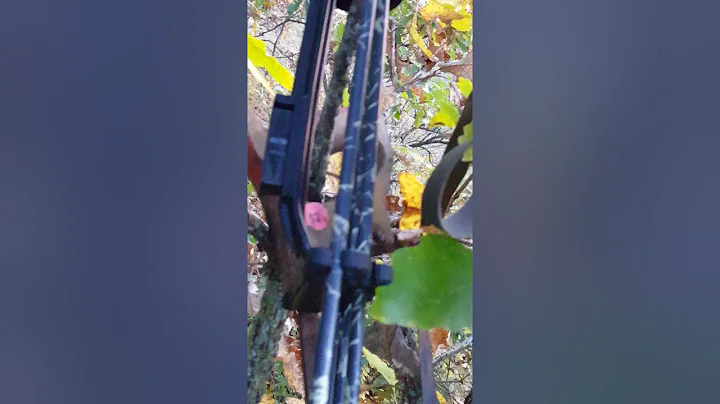 bow hunting 2016