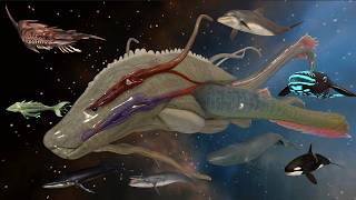 Star Citizen Stormwal Vs Epic &amp; Legendary Whale Monster Size Comparison in 3D