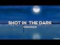 Nomadique - Shot in the dark (Lyrics)