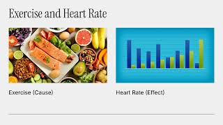 Understanding Variables  Types and Examples