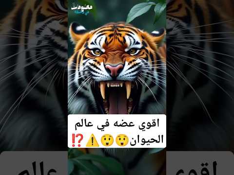 اقوي عضه في العالم حقائق غريبة حقائق ومعلومات حيوانات مفترسه  اكسبلور
