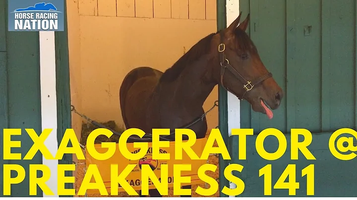 Preakness 2016 - Exaggerator - Interview with Juli...