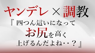 【BL/ASMR】ヤンデレDV彼氏の執拗な調教でペットにされて【スパンキング/Japanese voice】