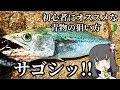 青物を簡単に狙う方法はコレだっ!!!