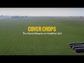 Cover Crops: The Secret Weapon to Healthier Soil