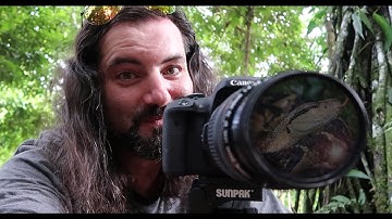 PERUVIAN AMAZON, DAY 10; FILMING THE BIGGEST PIT VIPER IN THE WORLD! - Dāv Kaufman Vlogs