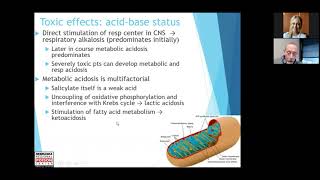 Salicylate Overdose