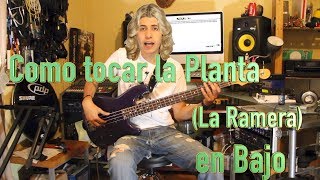 Video thumbnail of "Como tocar la Planta - Caos en bajo (bass tutoría) by Hugo Zerecero"