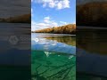 Shark in Fresh Water Lake