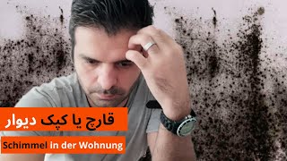 از بین بردن کپک روی دیوار ( شیمل )  Schimmel in der Wohnung