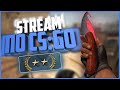 УЧУСЬ ИГРАТЬ В CS:GO/ СТРИМ ПО CS:GO