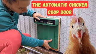 Installing The Automatic Chicken Coop Door | Chickcozy