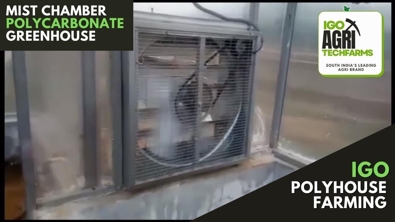 Mist Chamber Polycarbonate Greenhouse | Polyhouse farming | IGO Agri ...