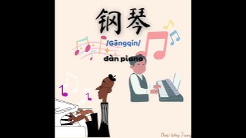 Từ vựng các loại nhạc cụ trong tiếng Trung 🎶🎵 #tiếngtrunggiaotiếpcơbản