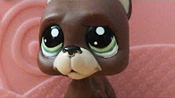 Littlest Pet Shop: Best Friends (díl #6: sen či nesen?)