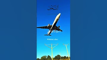 سورۃالنحل بصوت قاری خالد الجلیل۔ #القرآن_الكريم#تلاوات#سورۃ#النحل#قاری#خالد_الجليل#تلاوة_خاشعة#fyp